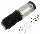 Luftbelg Bak BMW 7 (F01/F02) - 37126796929 thumbnail